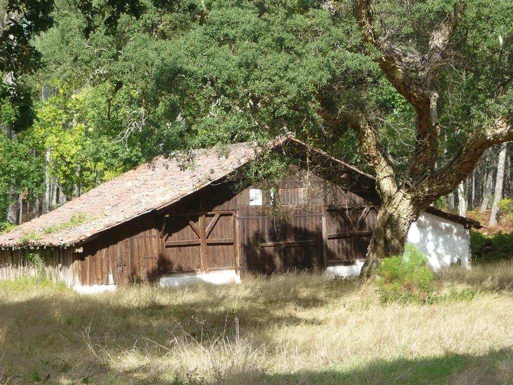Appartements A Cote Lac Marin De Port D'Albret Vieux-Boucau-les-Bains Bagian luar foto